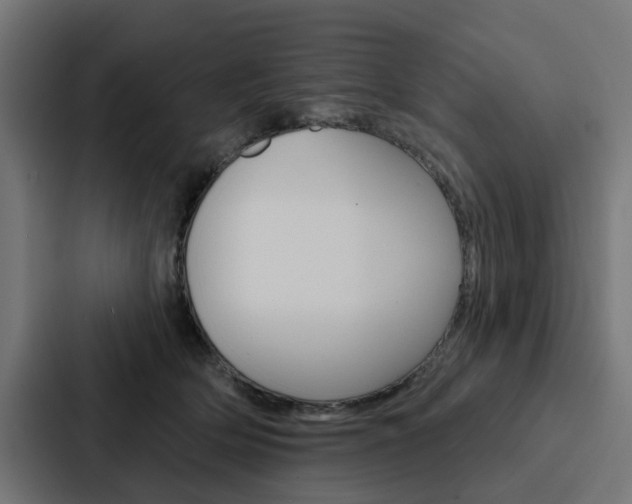 X0000088220514200705151031