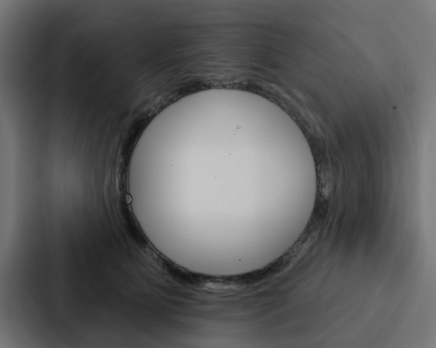X0000088220515200705151031