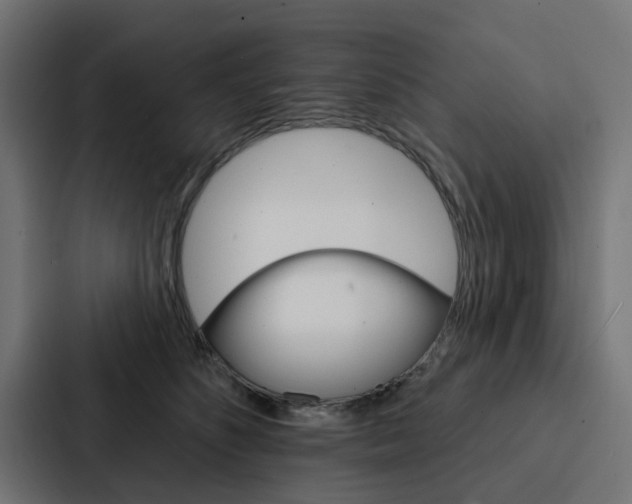X0000088220516200705151031