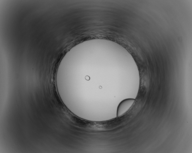 X0000088220518200705151031
