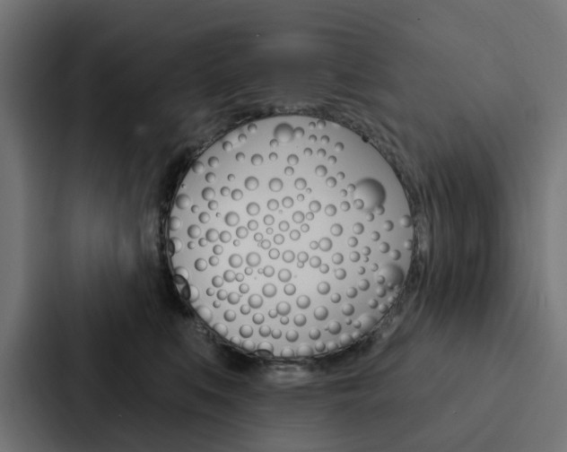 X0000088220519200705151031