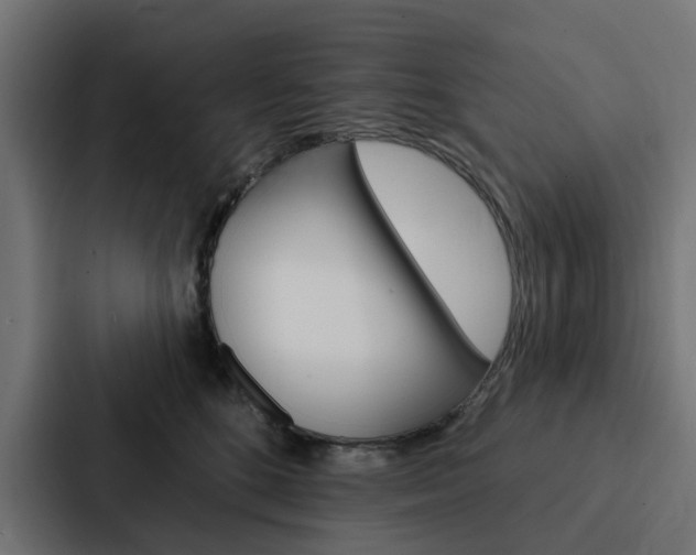 X0000088220520200705151031