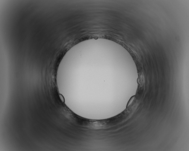 X0000088220522200705151031