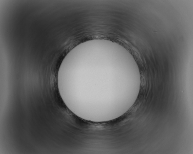 X0000088220523200705151031