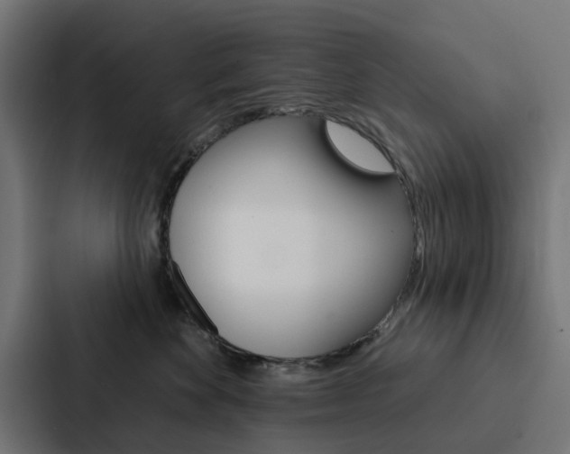 X0000088220524200705151031