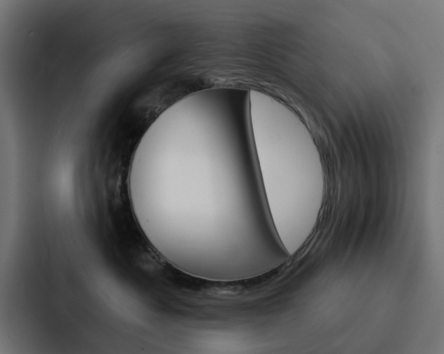 X0000088220525200705151031
