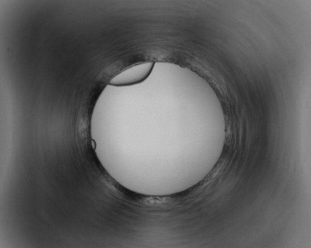X0000088220526200705151031