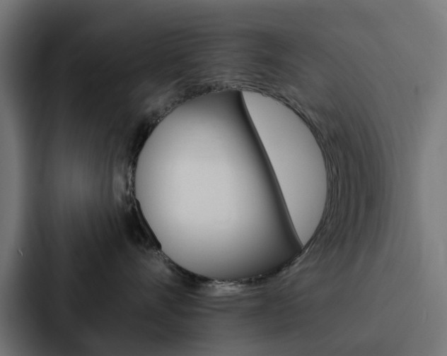X0000088220528200705151031