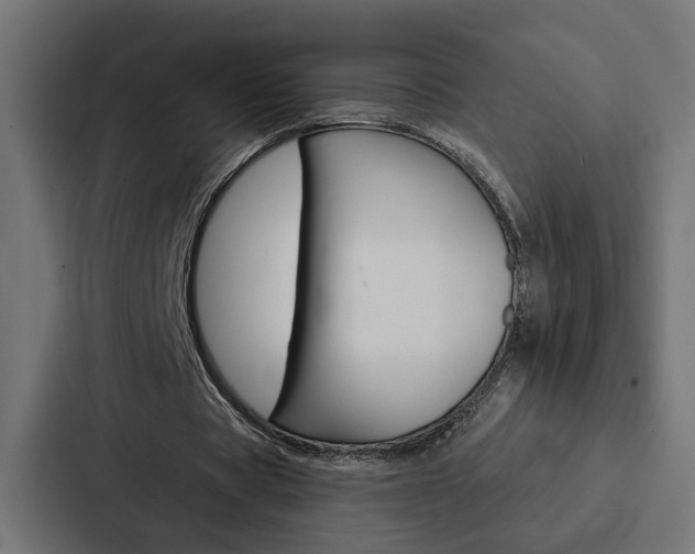 X0000088220529200705151031