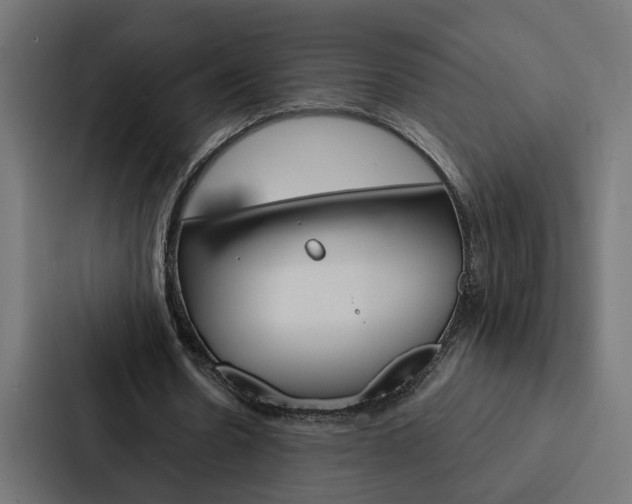 X0000088220530200705151031