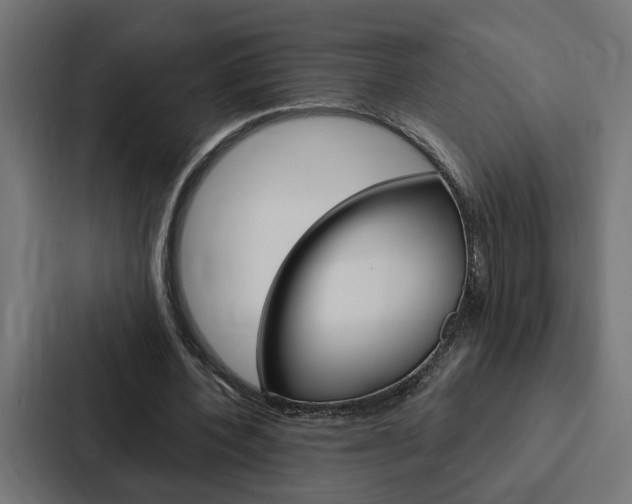 X0000088220532200705151031