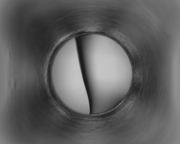 X0000088220535200705151031