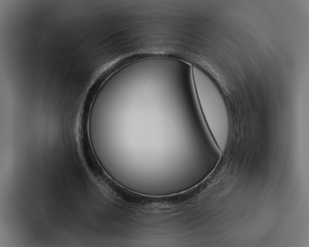 X0000088220536200705151031