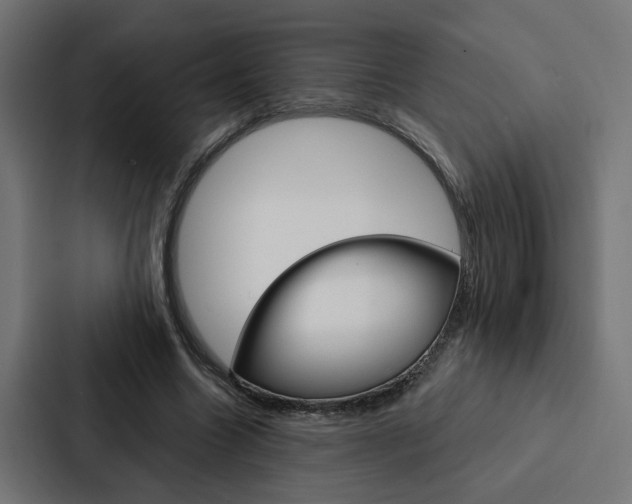 X0000088220538200705151031