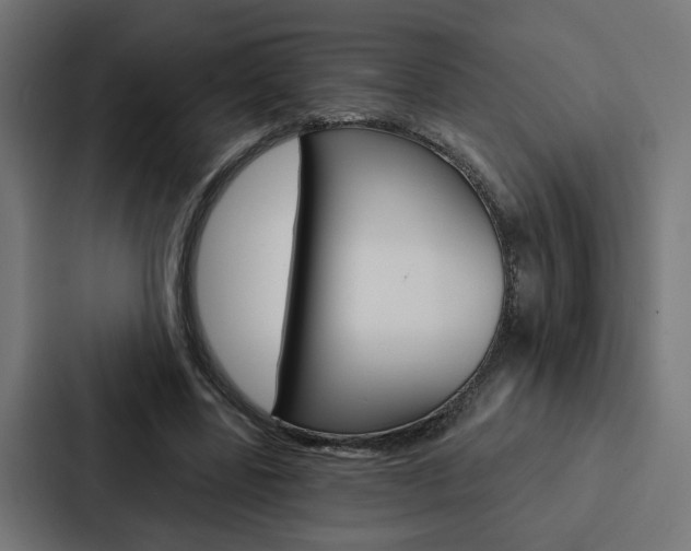 X0000088220539200705151031