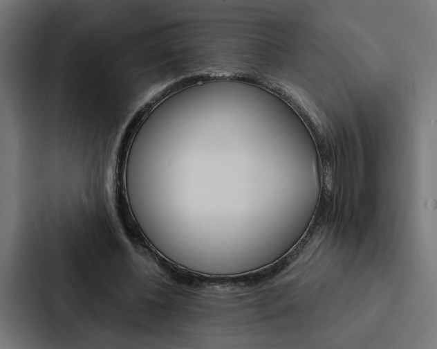 X0000088220540200705151031