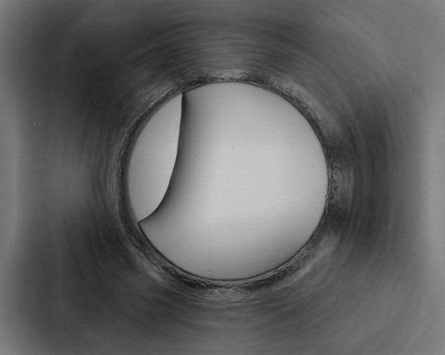 X0000088220541200705151031