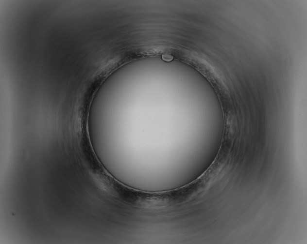 X0000088220546200705151031