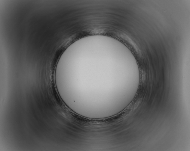 X0000088220549200705151031