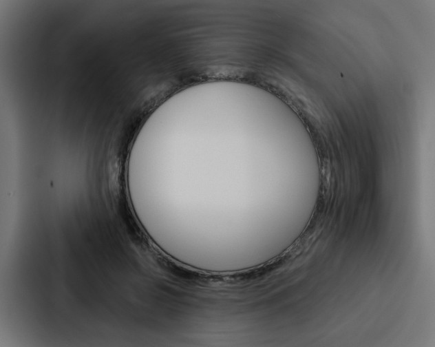 X0000088220550200705151031
