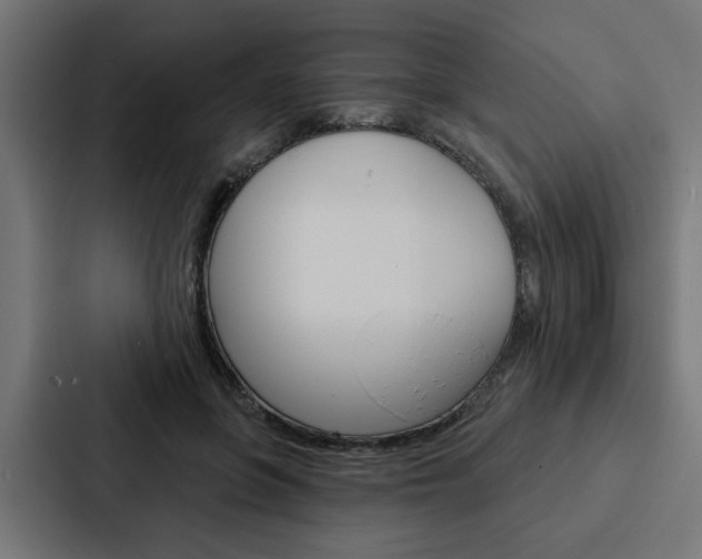 X0000088220551200705151031
