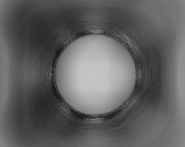 X0000088220553200705151031