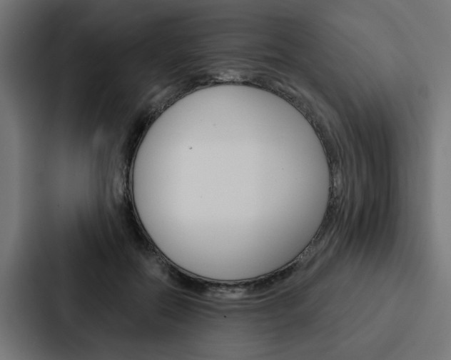X0000088220554200705151031