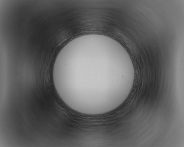 X0000088220556200705151031
