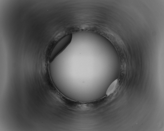X0000088220558200705151031
