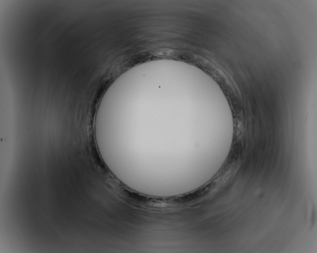 X0000088220561200705151031