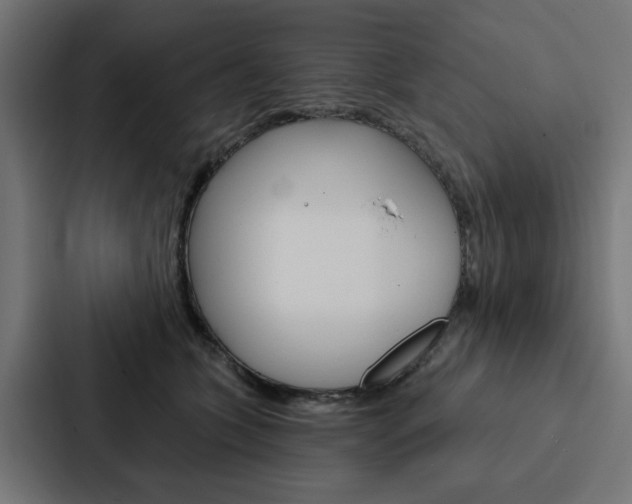 X0000088220563200705151031