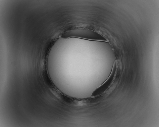 X0000088220564200705151031