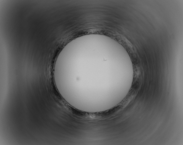 X0000088220565200705151031