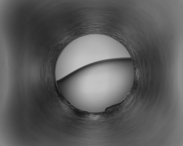 X0000088220570200705151031
