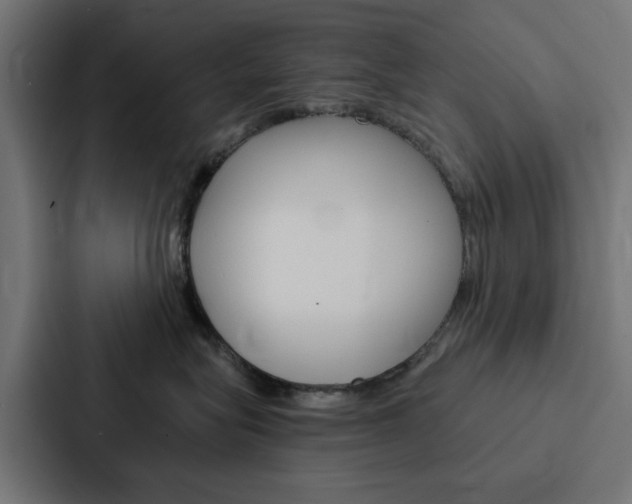 X0000088220575200705151031