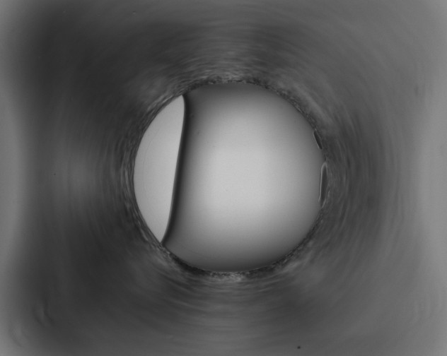 X0000088220576200705151031