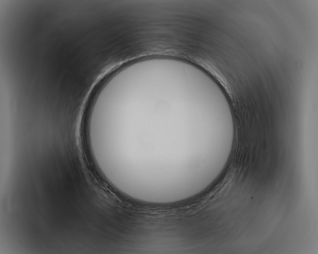 X0000088220579200705151031