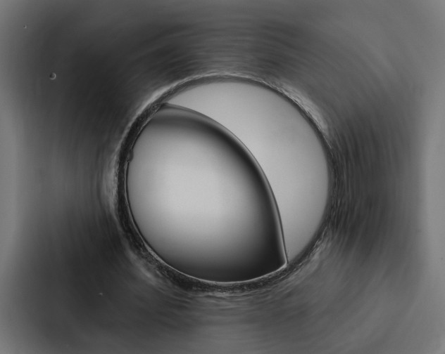 X0000088220580200705151031