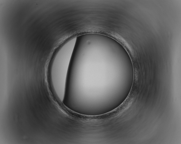 X0000088220581200705151031