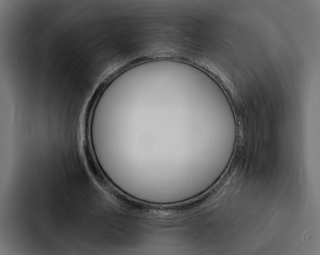 X0000088220582200705151031