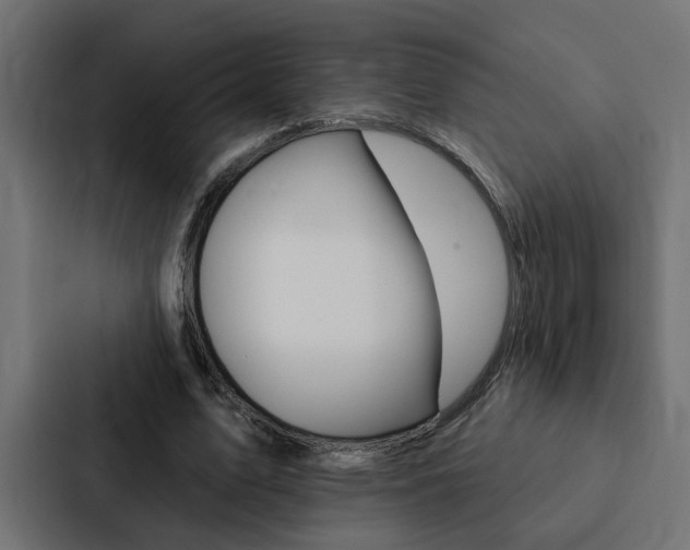 X0000088220583200705151031