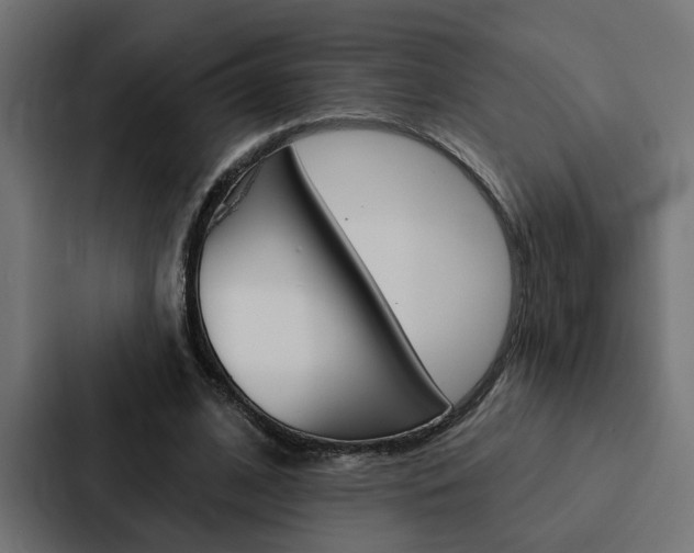 X0000088220584200705151031