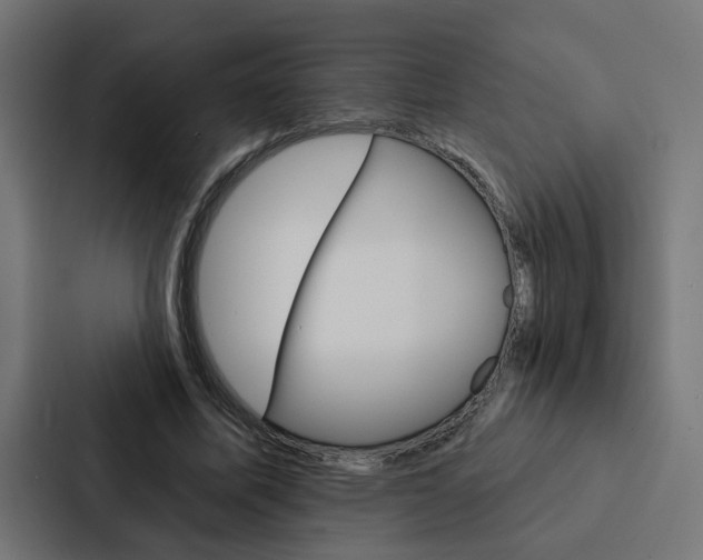X0000088220587200705151031