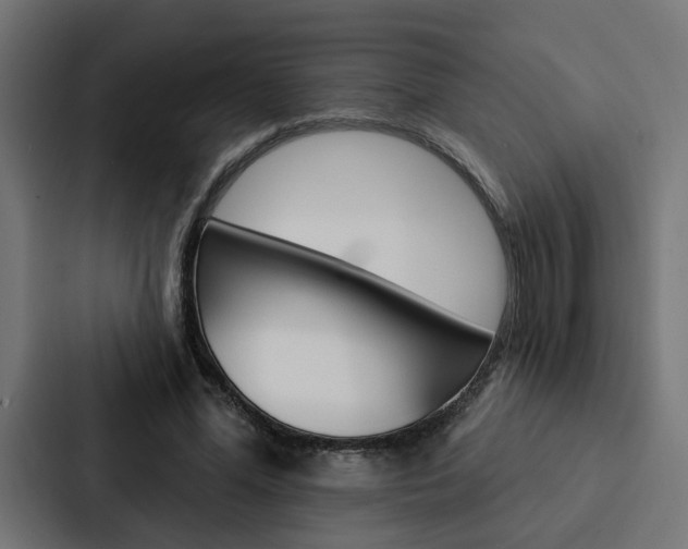 X0000088220588200705151030