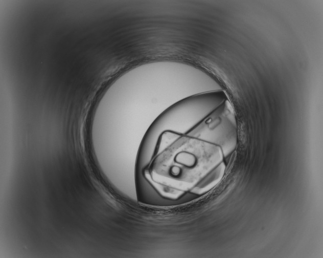 X0000088220589200705151030