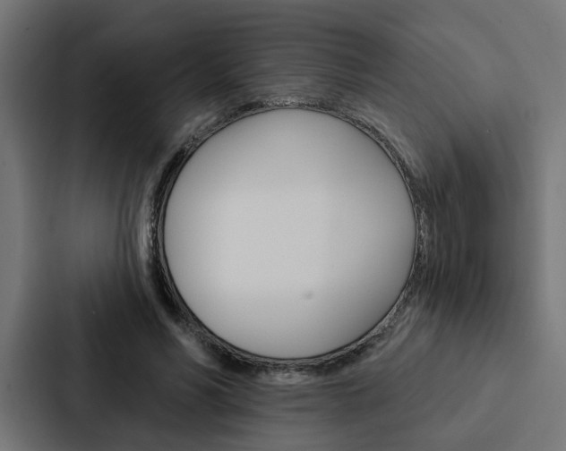 X0000088220590200705151030