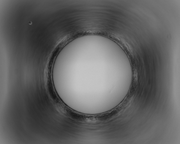 X0000088220591200705151030