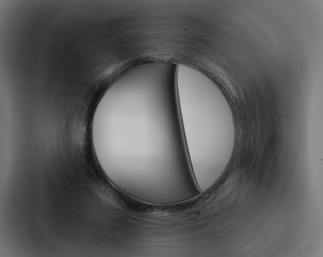 X0000088220596200705151030