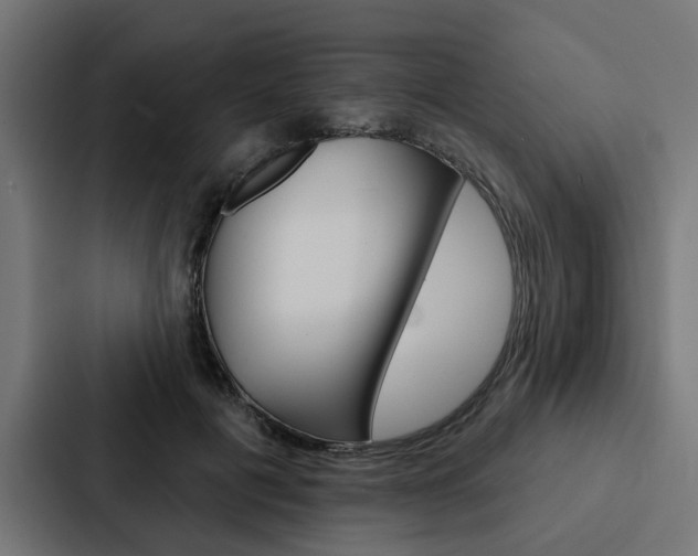X0000088220601200705151030