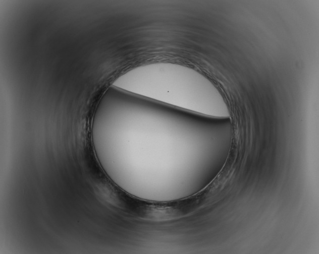 X0000088220605200705151030
